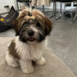 278999e0-9a23-4884-b9c1-2b735e401b6a