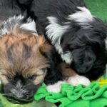 4af59f49-de54-449a-8eba-59dc45f6e964