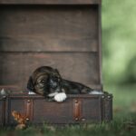 4b2832bc-c613-4697-8317-550caa8feec5