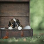 5a750492-b80e-48db-8eab-7418738b4b10