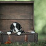 653ef142-9228-4893-b6e7-9e8b61cdfeca