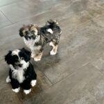 6cb51225-5ea7-43f6-9b34-9eb5abfe36b6