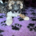 979cf252-028c-4886-a037-48197182fc1f