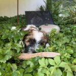 fad53680-6f46-4428-a44b-5be7a1553572